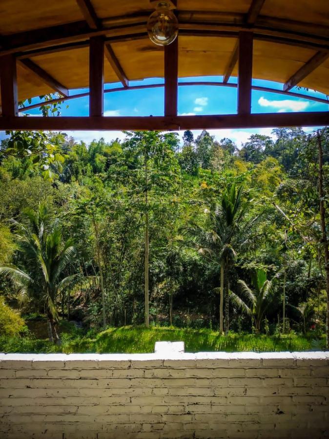 Hide And Seek Tetebatu Luaran gambar
