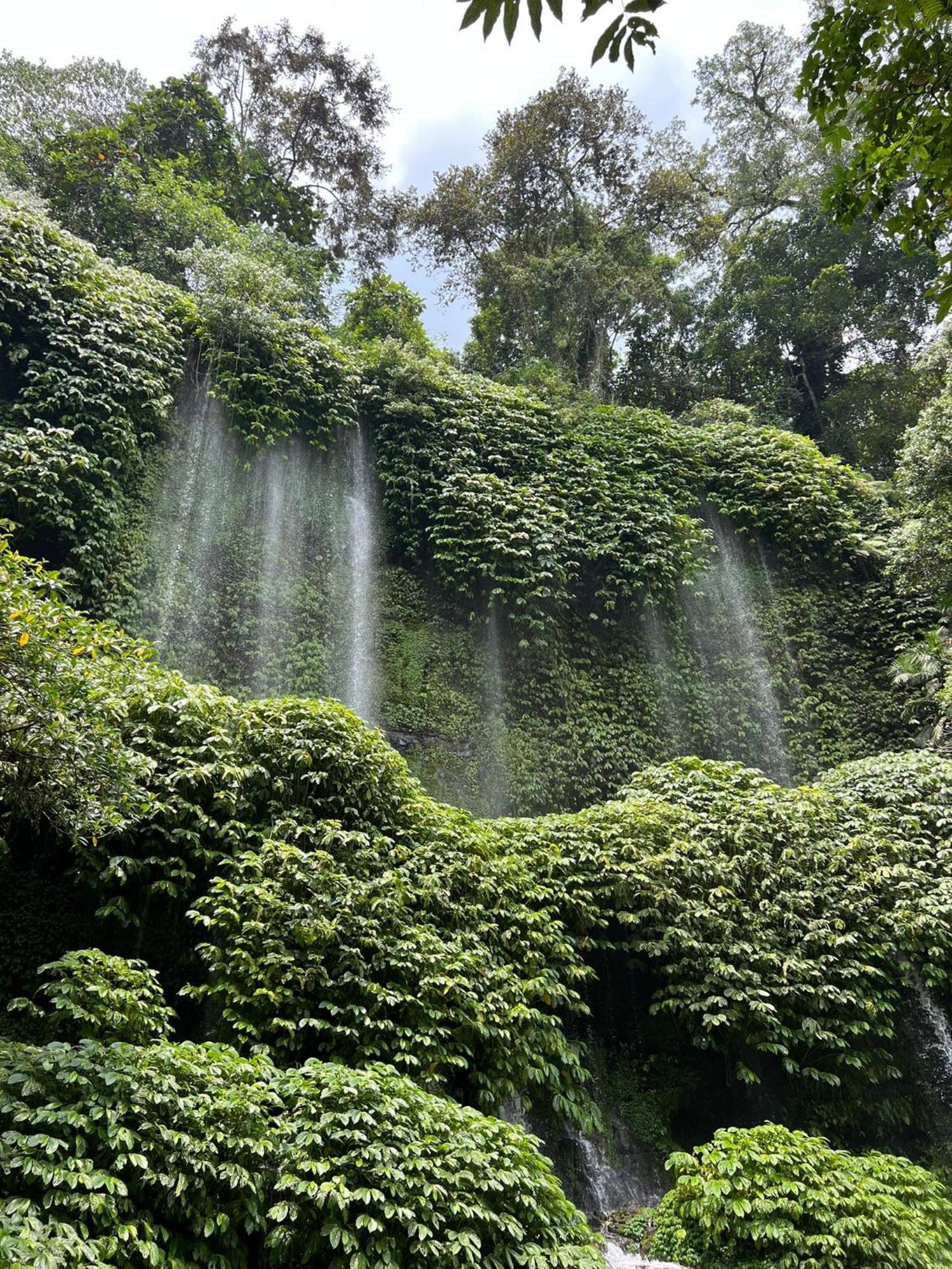 Hide And Seek Tetebatu Luaran gambar