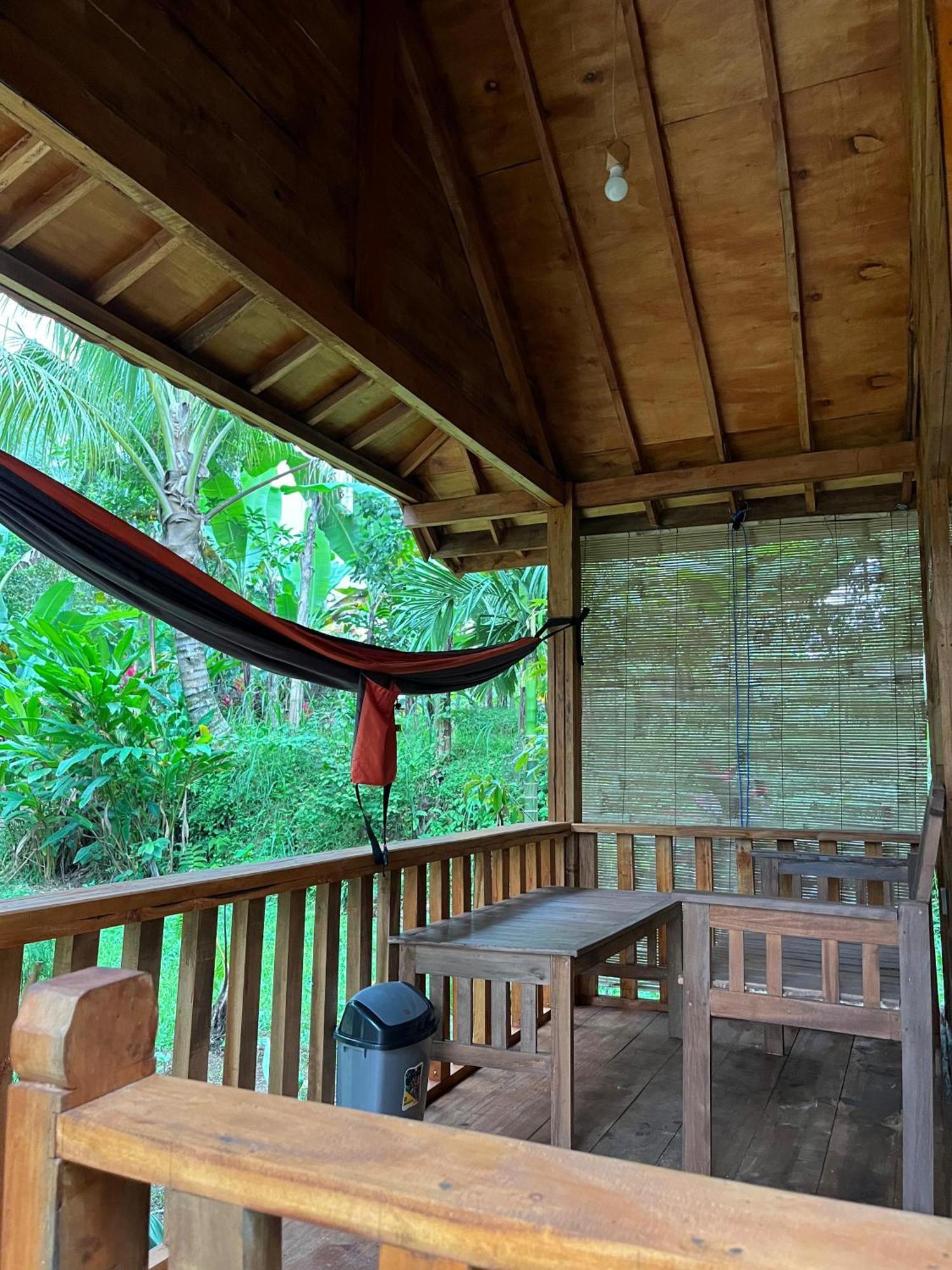 Hide And Seek Tetebatu Luaran gambar