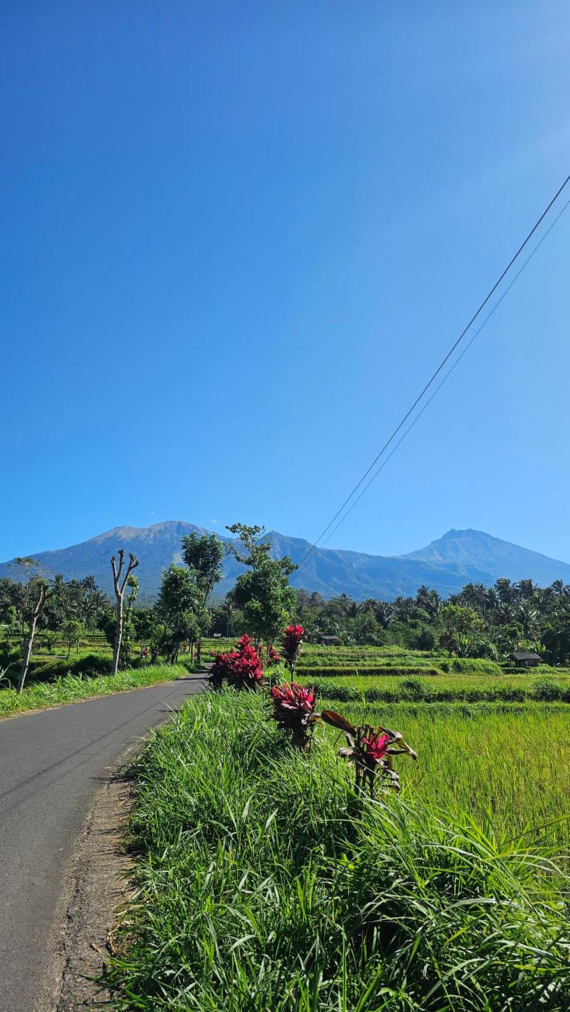 Hide And Seek Tetebatu Luaran gambar