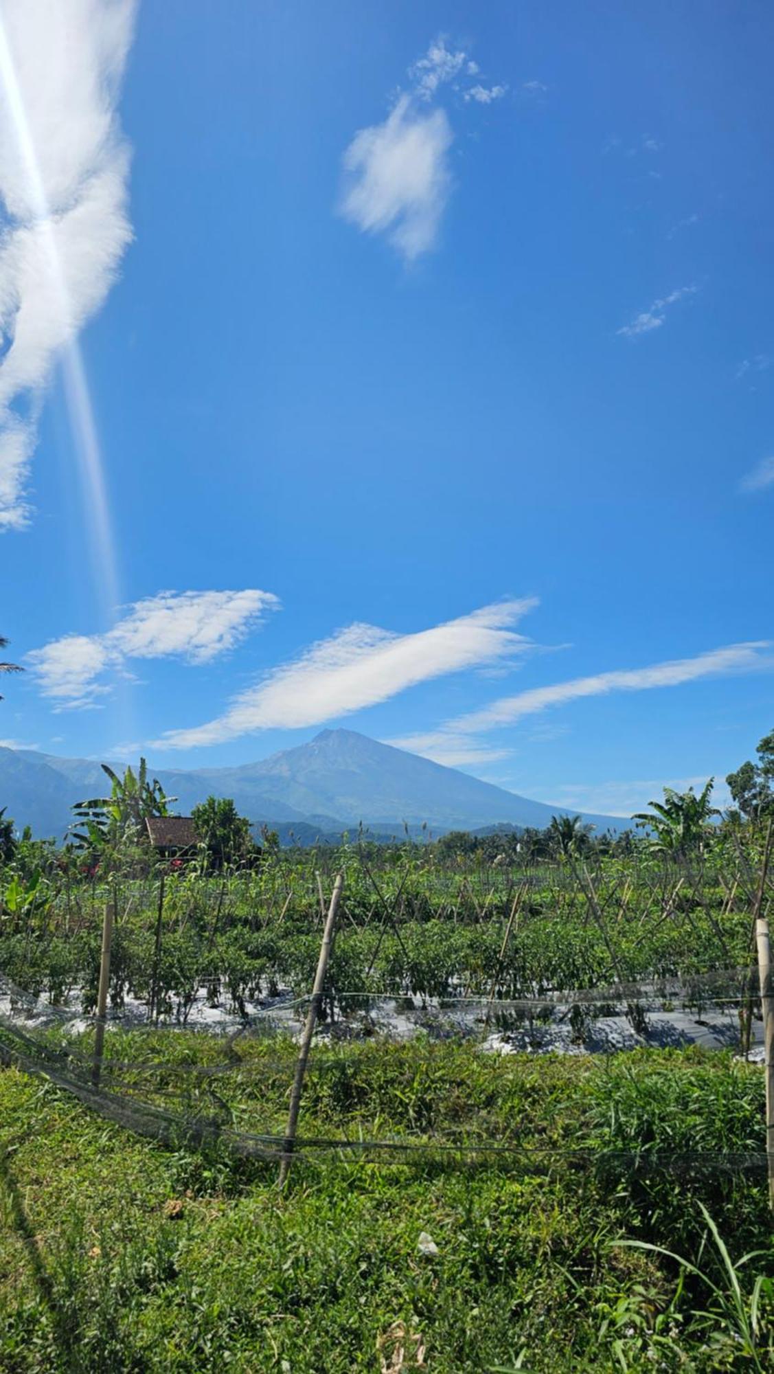 Hide And Seek Tetebatu Luaran gambar